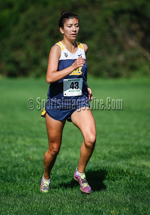 2014USFXC-053.JPG - August 30, 2014; San Francisco, CA, USA; The University of San Francisco cross country invitational at Golden Gate Park.
